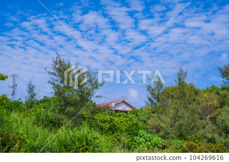 Okinawa Kudaka Island Island of the Gods, an island road where nature remains Okinawa Kudaka Island Island of the Gods, an island road where nature remains 104269616