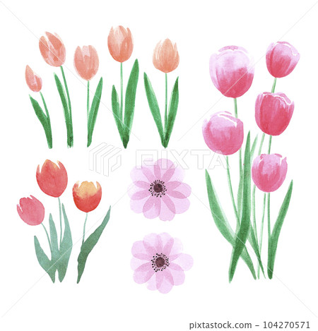 Hand drawn watercolor pink and orange tulips and anemone on white background. Can be used for Scrapbook, post card, textile, invitation, album. 104270571