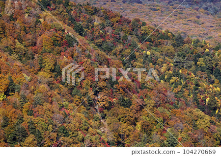 Autumn leaves seen from the ridgeline between Oku-Nikko, Mt. Shayama and Mt. Kurohigi Autumn leaves seen from the ridgeline between Oku-Nikko, Mt. Shayama and Mt. Kurohigi 104270669