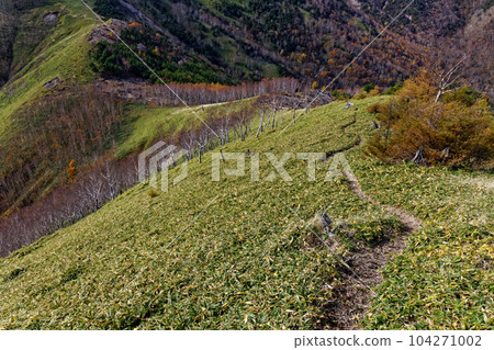 奧日光、沙山、黑檜山之間的山脊線,秋天的色彩 奧日光、沙山、黑檜山之間的山脊線,秋天的色彩 104271002