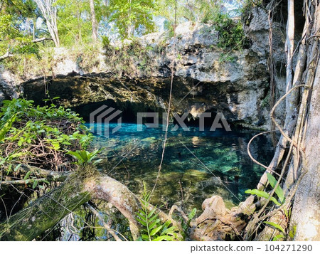 Gran Cenote in Mexico 104271290