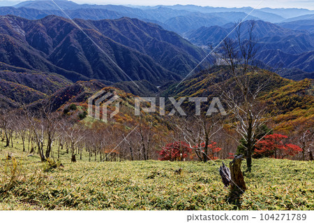 從奧日光/Shayama看到的紅葉山脈 104271789