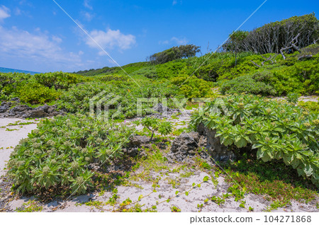 Okinawa Kudaka Island God's Island, Ishiki Beach Okinawa Kudaka Island God's Island, Ishiki Beach 104271868