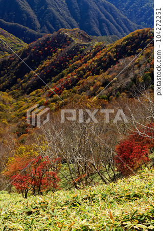 Mountains of autumn leaves seen from Oku Nikko and Shrine mountain ridge lines 104272251
