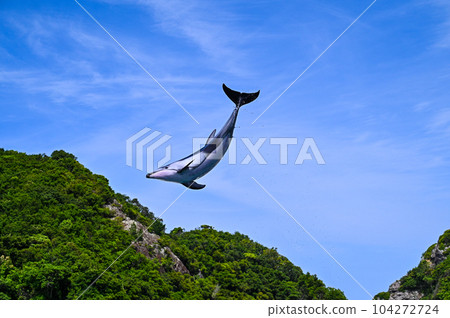 海豚飛向藍天，濺起水花 104272724