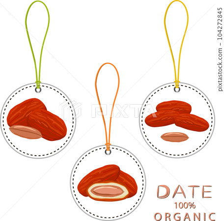 Sweet juicy tasty natural eco product date fruit 104272845