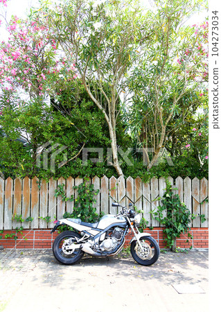 1990s Japanese old motorcycle and garden tree 104273034