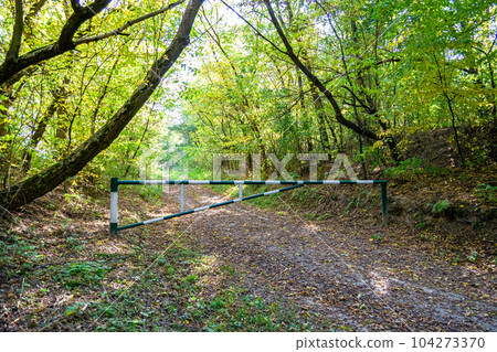 Photography on theme beautiful footpath in wild foliage woodland 104273370