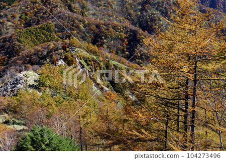 從Oku日光和寺廟山土坎線看見的秋葉山 104273496