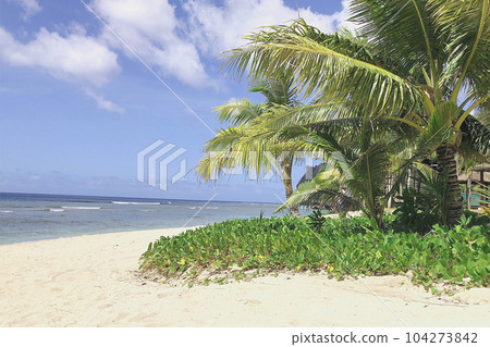 熱帶海灘的美麗景色 熱帶海灘的美麗景色 104273842