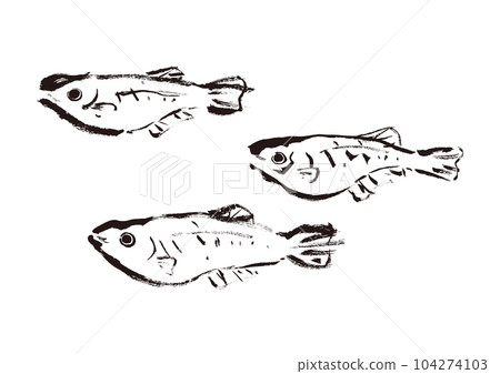 Medaka hand drawn Japanese style illustration Japanese style material 104274103