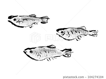 青鱂手繪日式插畫日式素材 青鱂手繪日式插畫日式素材 104274104