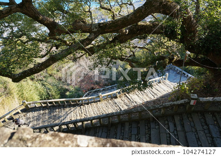 Kunozan Toshogu Shrine, Omotesando Stairs [Shizuoka] 104274127