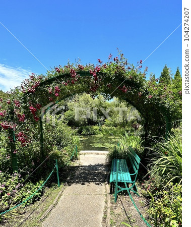 [Kochi Prefecture] Kitagawa Village "Monet's Garden" Marmottan Rose Arch 104274207