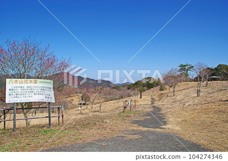 Yagiyama Flower Garden in Iizuka City, Fukuoka Prefecture where you can enjoy seasonal flowers and trees Yagiyama Flower Garden in Iizuka City, Fukuoka Prefecture where you can enjoy seasonal flowers and trees 104274346