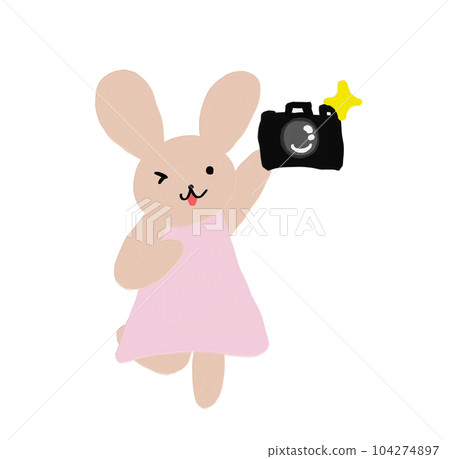 Rabbit taking a picture 104274897