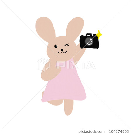 rabbit with camera rabbit with camera 104274903