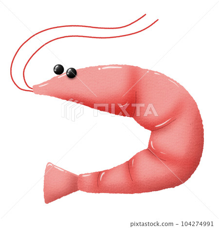 Shrimp watercolor character Shrimp watercolor character 104274991