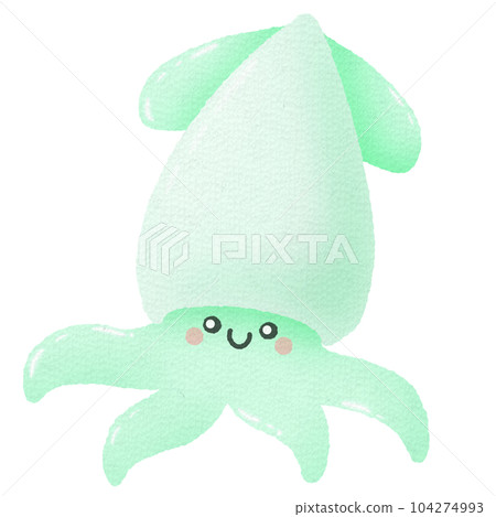squid, octopus, calamary 104274993