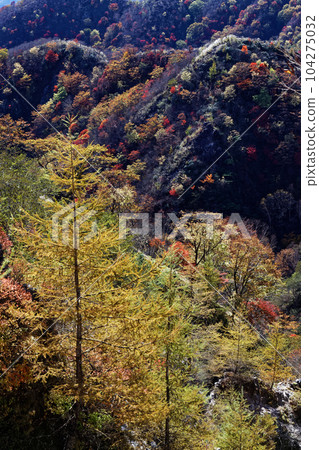 從Oku日光和寺廟山土坎線看見的秋葉山 從Oku日光和寺廟山土坎線看見的秋葉山 104275032