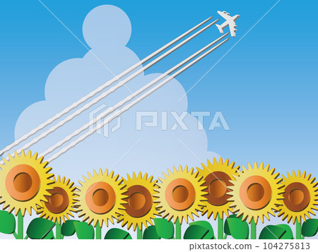 Midsummer blue sky, sunflowers, thunderheads and contrails 104275813