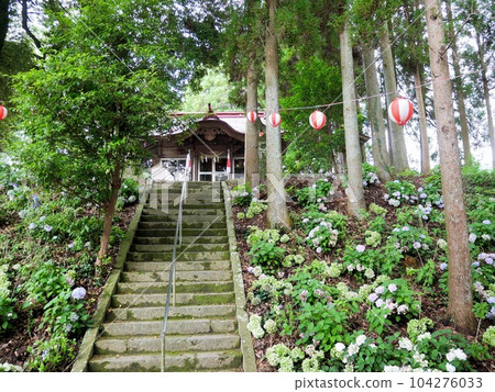 平山阿蘇神社和繡球花（熊本縣山鹿市） 104276033