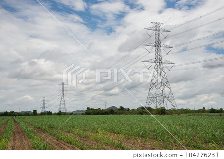 electric pole on the field electric pole on the field 104276231