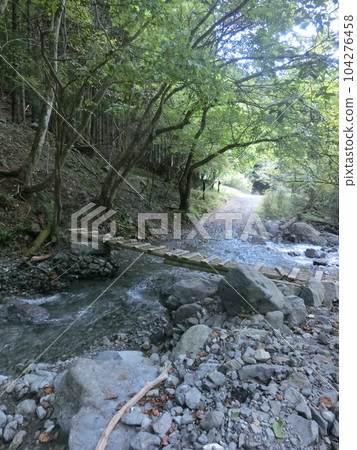Futamata point along Tanzawa/Nishiyama forest road, wooden bridge over Futamata (Kanagawa Prefecture) 104276458