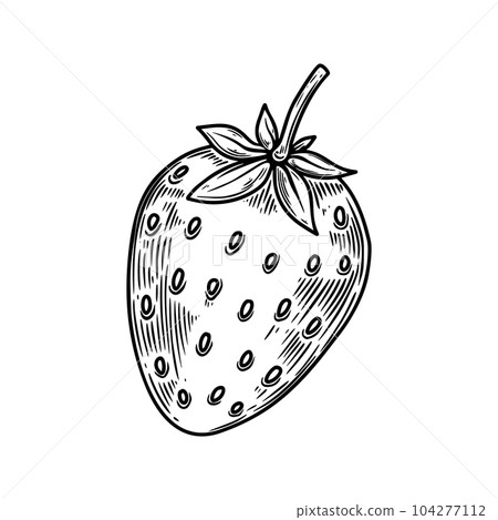 Illustration of strawberry in engraving style. Design element for poster, card, banner, sign. Vector illustration Illustration of strawberry in engraving style. Design element for poster, card, banner, sign. Vector illustration 104277112