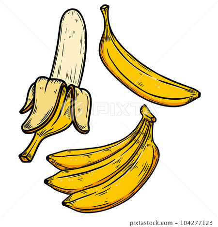 Set of Illustrations of banana in engraving style. Design element for poster, card, banner, sign. Vector illustration Set of Illustrations of banana in engraving style. Design element for poster, card, banner, sign. Vector illustration 104277123