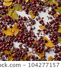 coffee beans and leaves 104277157