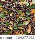 coffee beans and leaves 104277158