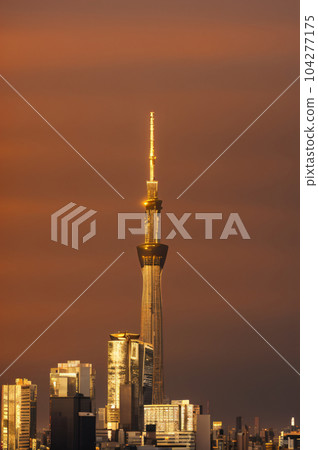 東京晴空塔在夕陽下熠熠生輝 104277175