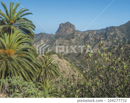 View to the Roque Cano, a famous volcanic cliff on the north side of La Gomera. Palm tree, rural mountain landscape in the valley of Vallehermoso. La Gomera. Canary Islands. Spain 104277732