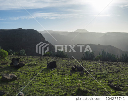 View from green plateau on top of La Merica mountain with agave cacti, valley and hills in fog haze. Camino La Merica hiking trail. Valle Gran Rey, La Gomera, Canary Islands. Backlight, copy space. View from green plateau on top of La Merica mountain with agave cacti, valley and hills in fog haze. Camino La Merica hiking trail. Valle Gran Rey, La Gomera, Canary Islands. Backlight, copy space. 104277741
