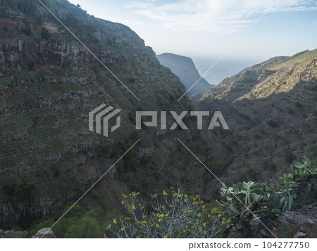 View of green valley with palm trees, cacti and sharp cliffs of La Merica mountain. Seen from Camino La Merica hiking trail. Arure, Valle Gran Rey , La Gomera, Canary Islands, Spain. 104277750