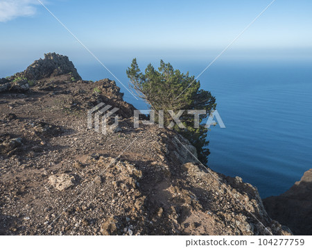 Viewpoint Risco de La Merica at the end off i sharp rocks and cliffs on top of La Merica mountain with solitaire tree. Camino La Merica hiking trail. Arure, Valle Gran Rey , La Gomera, Canary Islands 104277759