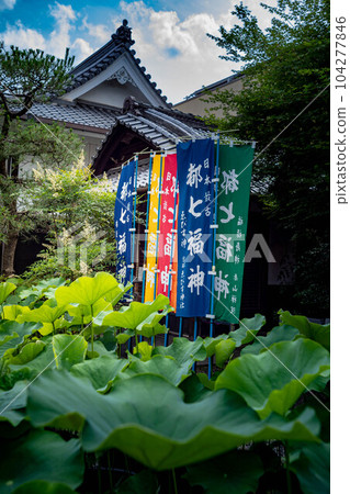 Kodo/Gyoganji Temple, lotus leaves on the blue sky and the main shrine during a rainy day 104277846