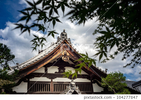 鼓童和行願寺，雨季藍天上的藍色楓葉和本宮 104277847
