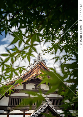 Kodo and Gyōganji, blue maple leaves in the blue sky during the rainy season and the main shrine 104277848