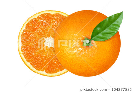 Orange illustration real 104277885