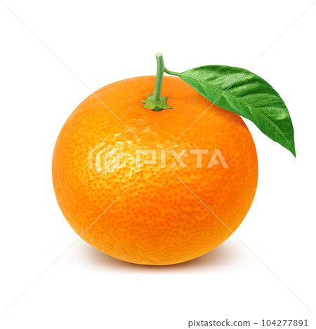 Orange illustration real 104277891