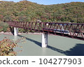 A train running on the Yunishigawa Bridge on the Aizu Kinugawa Line during the fall foliage season 104277903