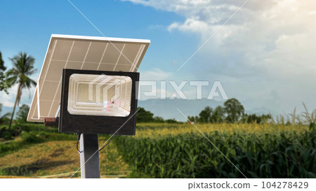 Photovoltaic panel and solar cell spot light on corn field in background concept for using solar cell spot light to secure the  agriculture area  104278429