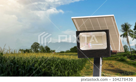 Photovoltaic panel and solar cell spot light on corn field in background concept for using solar cell spot light to secure the  agriculture area  104278430