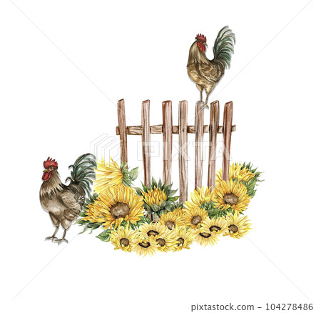 Watercolor composition of cock and truck. Hand drawn rooster, artistic painting illustration of fowl. Watercolor illustration of hen. Perfect for wedding invitation, greetings card, posters. 104278486