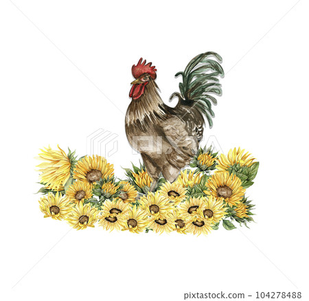 Watercolor sunflowers and rooster composition. Hand drawn illustration of a farm. Perfect for wedding invitation, greetings card, posters. Watercolor sunflowers and rooster composition. Hand drawn illustration of a farm. Perfect for wedding invitation, greetings card, posters. 104278488