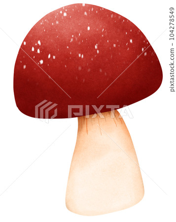 Cute red mushroom Cute red mushroom 104278549