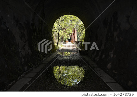 舊福知山線各隧道的狀況 舊福知山線各隧道的狀況 104278729