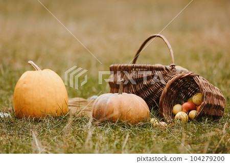 Thanksgiving day holiday. Freshly harvested pumpkins and apples in wicker basket on nature background. Autumn harvest of fresh organic vegetables on grass in garden. Fall harvest concept. Thanksgiving day holiday. Freshly harvested pumpkins and apples in wicker basket on nature background. Autumn harvest of fresh organic vegetables on grass in garden. Fall harvest concept. 104279200